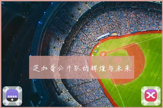 芝加哥公牛队的辉煌与未来