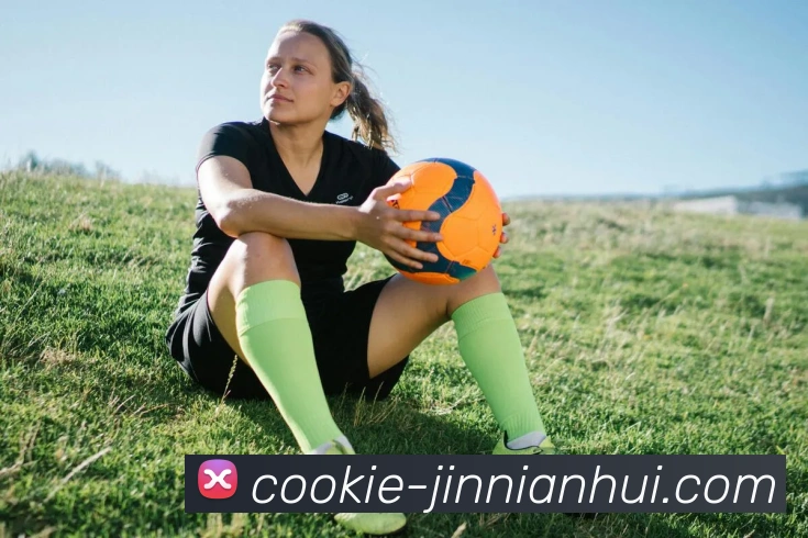 金年会体育APP 封面图